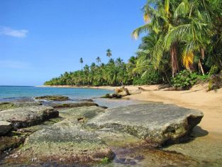 royal-caribian